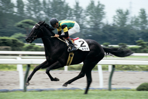 フジキセキ　1994年　3歳新馬