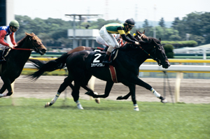 ステッペンウルフ