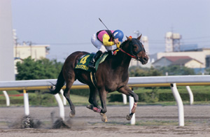 ストロングブラッド　2005年　かしわ記念