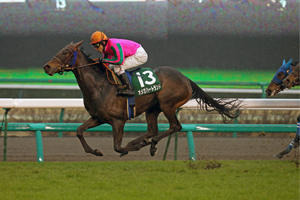オメガハートランド 2012年 フラワーカップ
