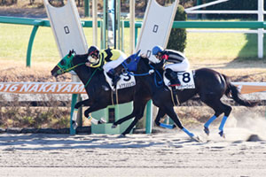 ルグランシェクル　2016　第1回中山3歳未勝利