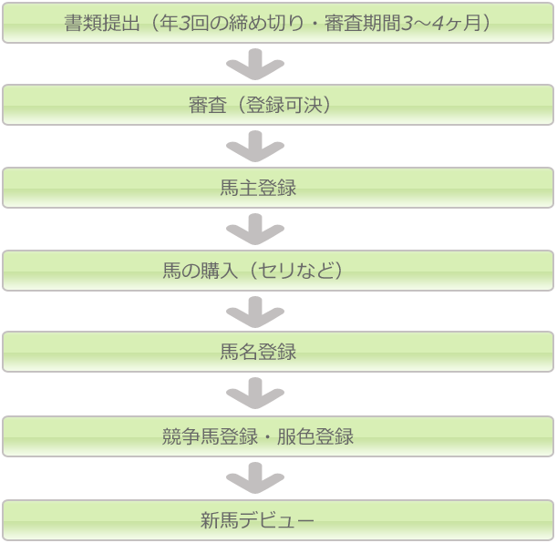 登録からデビューまでのフロー