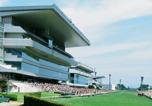 新潟競馬場