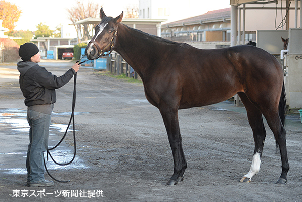 2014年3月クイズ_イメージ