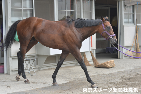 2014年7月クイズ_イメージ