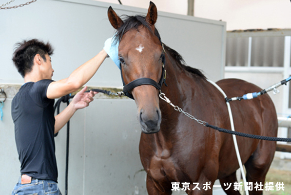 2014年9月クイズ_イメージ