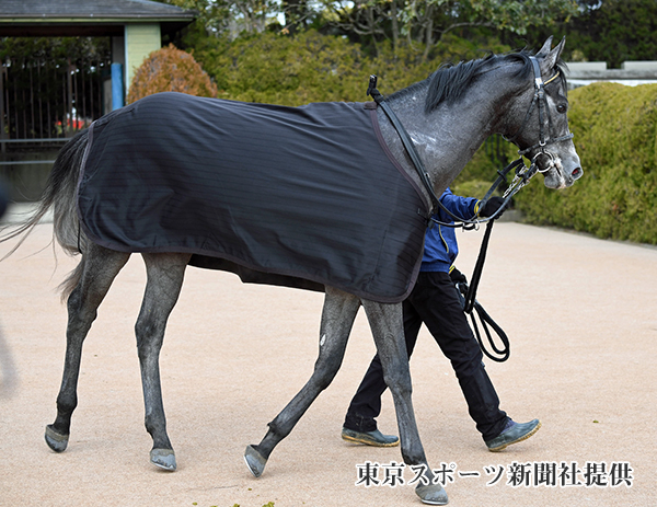 クイズ_イメージ