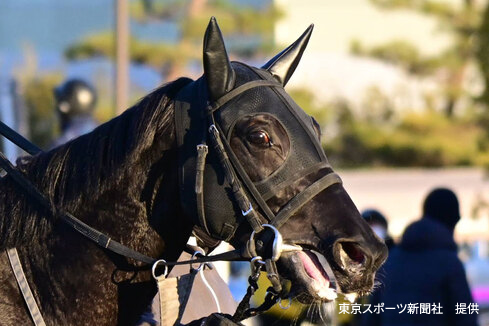 クイズ_イメージ