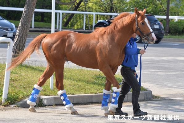 2015年1月クイズ_イメージ