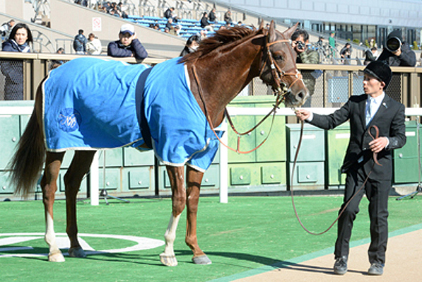 2015年2月クイズ_イメージ