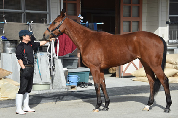 2015年3月クイズ_イメージ