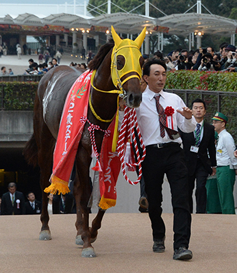 2015年12月クイズ_イメージ