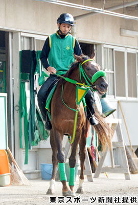 10月クイズ_イメージ