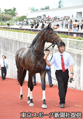 11月クイズ_イメージ