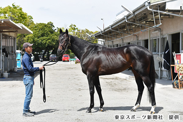 5月クイズ_イメージ