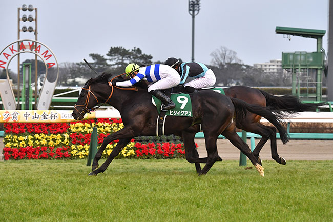 第70回日刊スポーツ賞中山金杯（GⅢ）