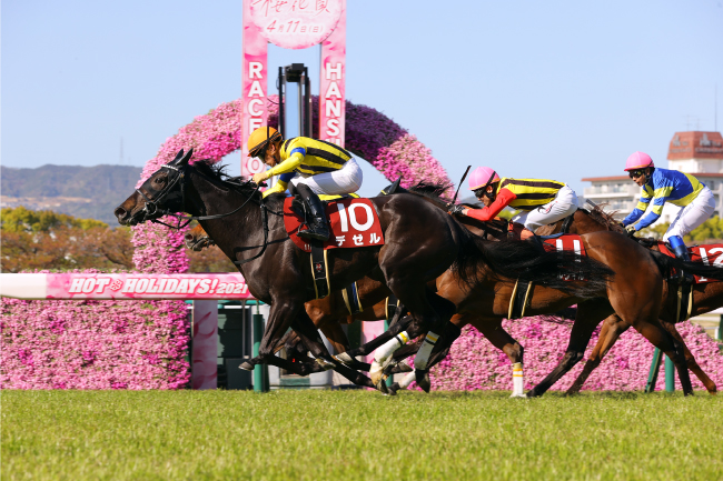 第64回サンケイスポーツ杯阪神牝馬ステークス（GⅡ）