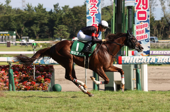 第41回新潟2歳ステークス（GⅢ）