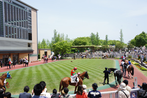 新潟競馬場　場内施設