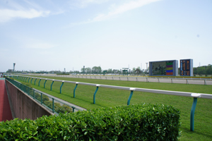 新潟競馬場　場内施設