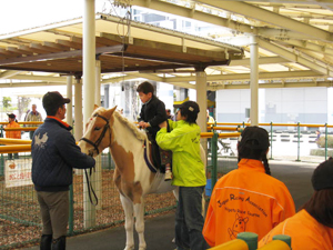 新潟競馬場　場内施設
