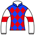 棚網　基己勝負服